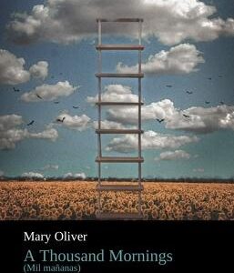 A Thousand Mornings 'Mil Mañanas'
