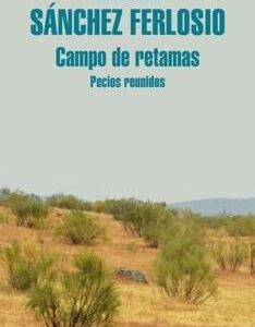 Campo de retamas