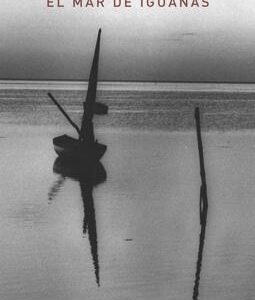 Mar de Iguanas